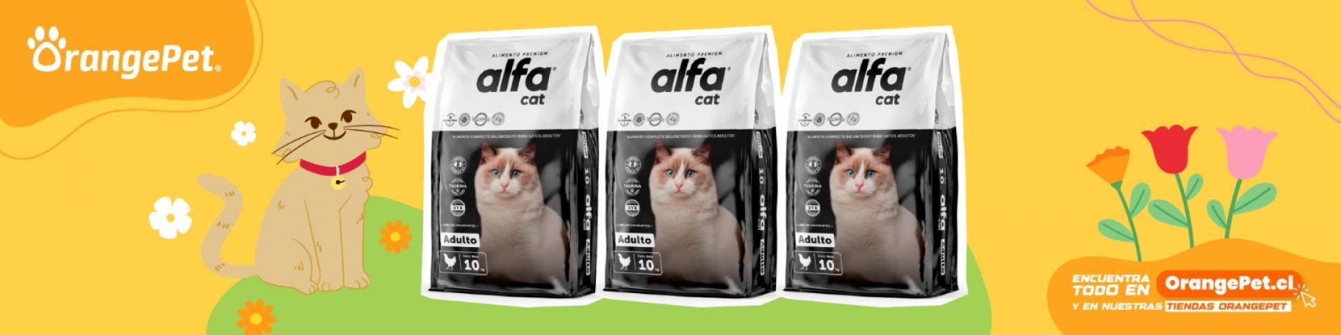 https://ccp.orangepet.cl/506618-alfa-cat-premium-adulto-10-kg.html